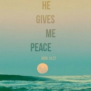 Meet your Posher, Todd